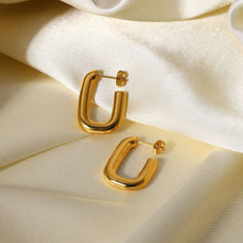 Load image into Gallery viewer, BRODY HOOPS