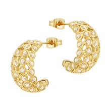 Load image into Gallery viewer, ROYAL RADIANCE EARRINGS