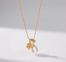 Load image into Gallery viewer, FORTUNA CHARM NECKLACE
