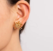 Load image into Gallery viewer, SPARKLE EARRINGS
