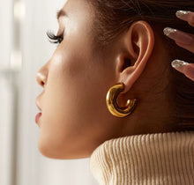 Load image into Gallery viewer, AXIS HOOPS
